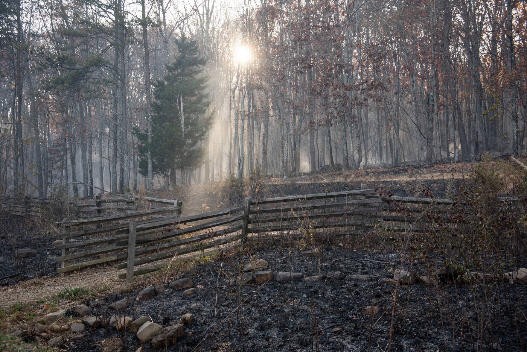 Pilot Mountain Fire Damage